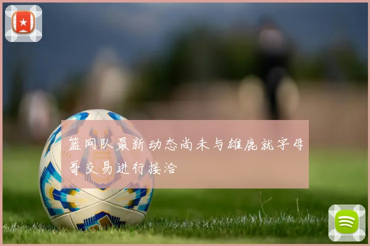 篮网队最新动态尚未与雄鹿就字母哥交易进行接洽